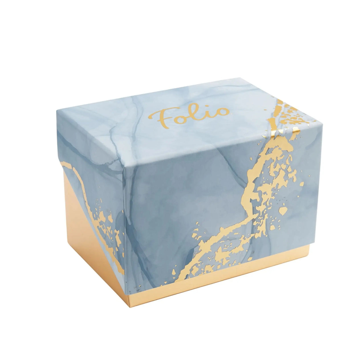 RELOJ ANALOGICO MUJER FMDFL2054 FOLIO FOLIO