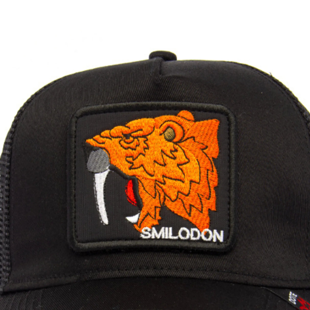 GORRA MALLA HOMBRE DMM29 DOTE MANT - 1014349 DOTE MANT