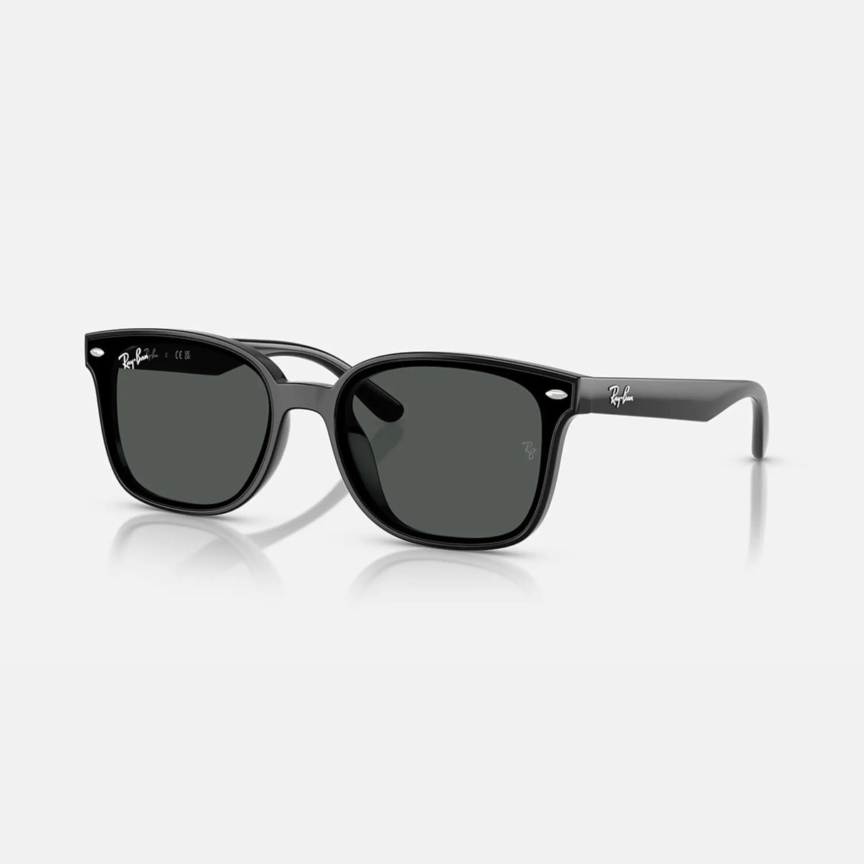LENTES DE SOL UV400 UNISEX RB4461D 601/87 64 RAY BAN NEGRO CASUAL 1030214 RAY-BAN
