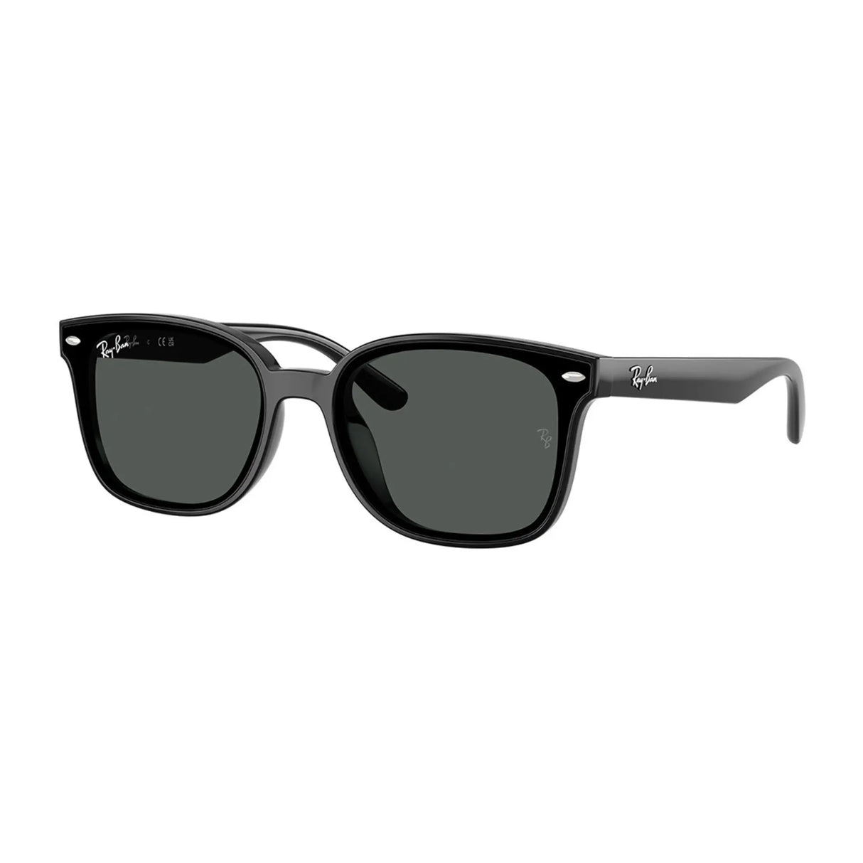 LENTES DE SOL UV400 UNISEX RB4461D 601/87 64 RAY BAN NEGRO CASUAL 1030214 RAY-BAN
