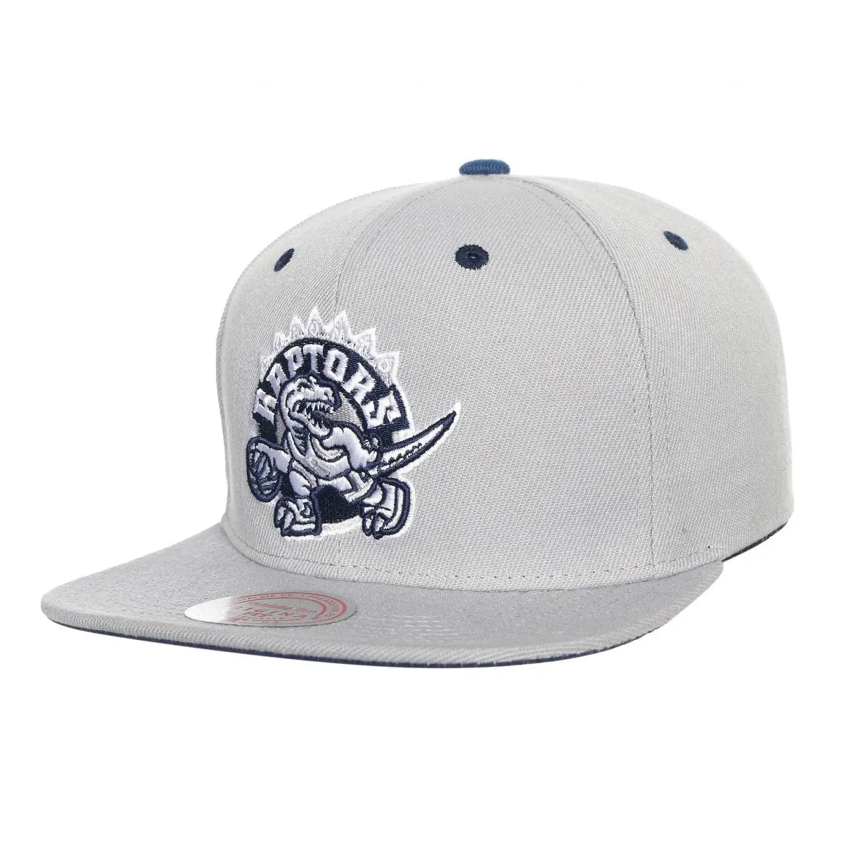 GORRA MITCHELL AND NESS NBA-TORONTO RAPTORS 6HSSSH22010-TRAGREY MITCHELL AND NESS