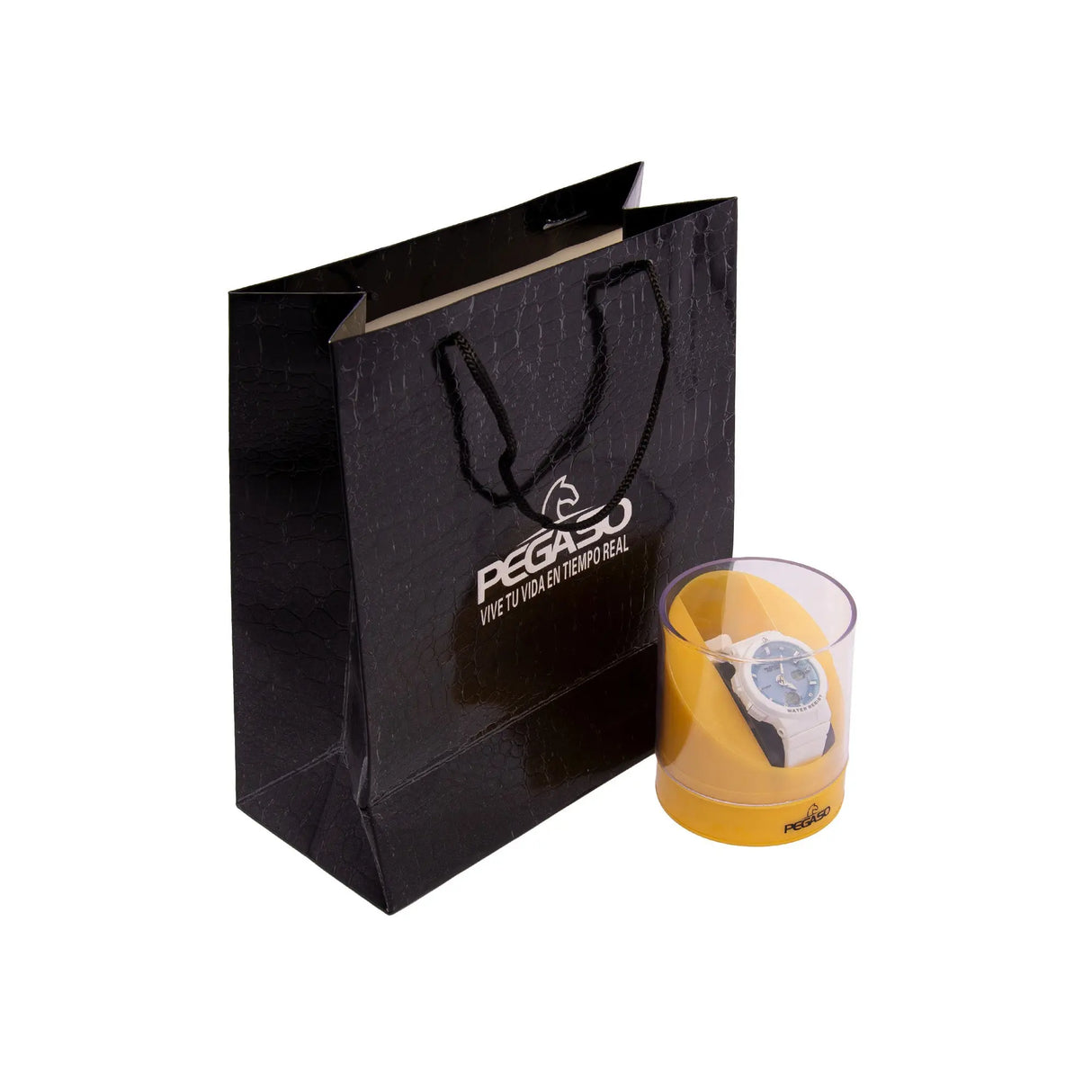 RELOJ ACUATICO HOMBRE P7019A PEGASO - 1017199 PEGASO