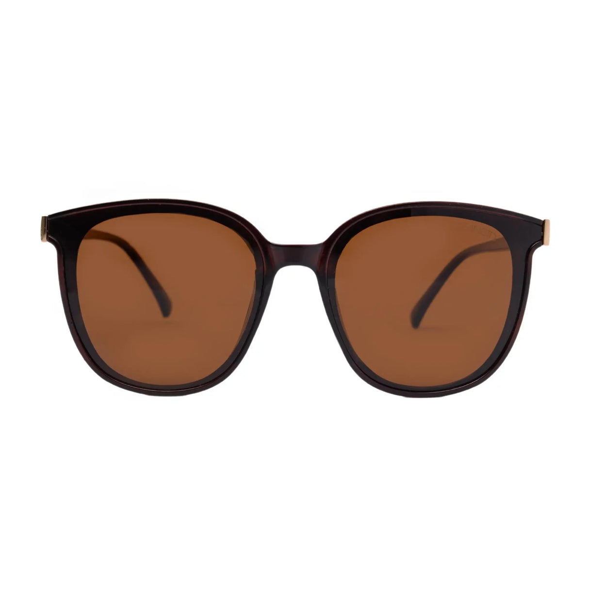LENTES DE SOL POLARIZADOS MUJER P2916 ZANETTY ZANETTY