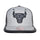 GORRA MITCHELL & NESS NBA-CHICACO BULLS  6HSSMM19228-CBUGYHT MITCHELL AND NESS