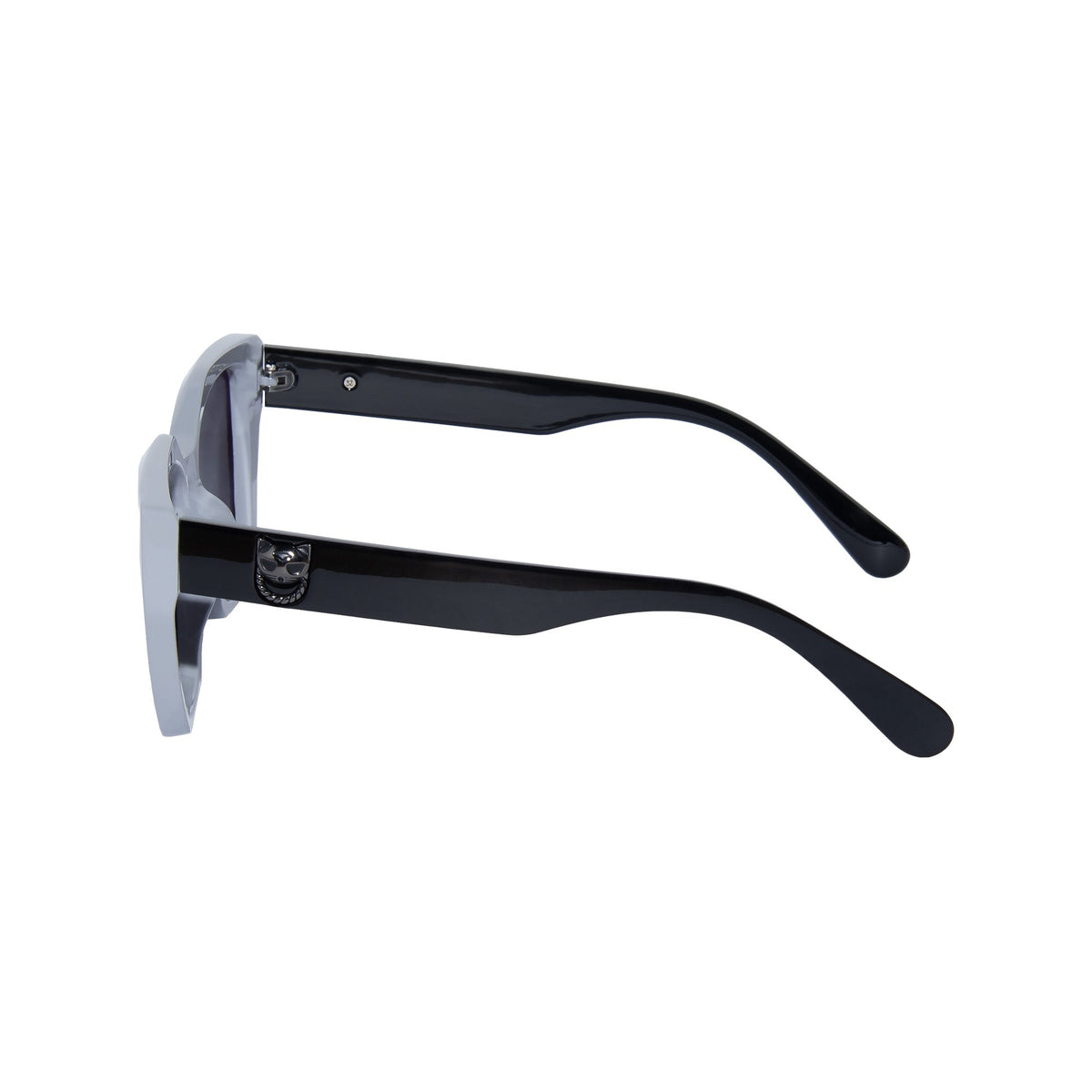 LENTES DE SOL UV400 MUJER DPC7810 GARAVANI GARAVANI