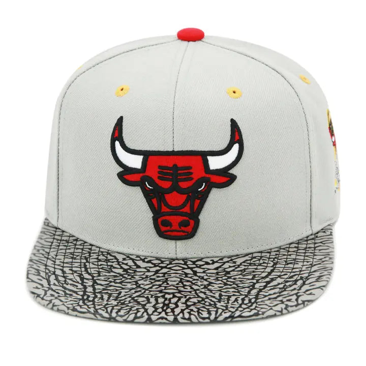 GORRA MITCHELL AND NESS  NBA-CHICAGO BULLS  6HSSDX20087-CBUGREY MITCHELL AND NESS