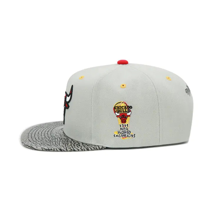 GORRA MITCHELL AND NESS  NBA-CHICAGO BULLS  6HSSDX20087-CBUGREY MITCHELL AND NESS