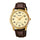 RELOJ ACUATICO HOMBRE MTP-V001GL-9B CASIO CASIO
