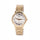 RELOJ ACUATICO HOMBRE Q16A527PY Q&Q Q&Q