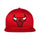 GORRA NEW ERA SPECIAL NBA-CHICACO BULLS 196175564628 NEW ERA
