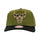 GORRA MITCHELL & NESS NBA-CHICACO BULLS HP13207-CBUOLBK MITCHELL AND NESS