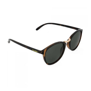 LENTES DE SOL UV400  HOMBRE X17139 STEVE MADDEN STEVE MADDEN