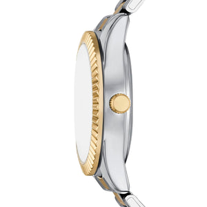 RELOJ ANALOGICO MUJER FMDFL2081 FOLIO FOLIO