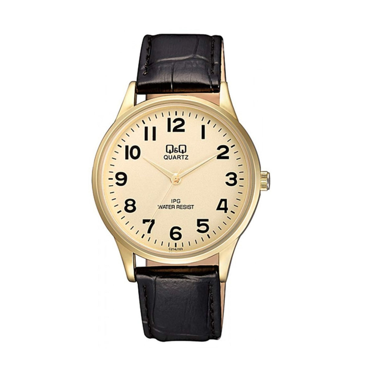 RELOJ ACUATICO HOMBRE C214J103Y Q&Q