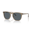 LENTES DE SOL UV400 UNISEX RB2210 6765R5 53 RAY BAN RAY-BAN
