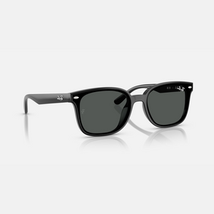 LENTES DE SOL UV400 UNISEX RB4461D 601/87 64 RAY BAN NEGRO CASUAL 1030214
