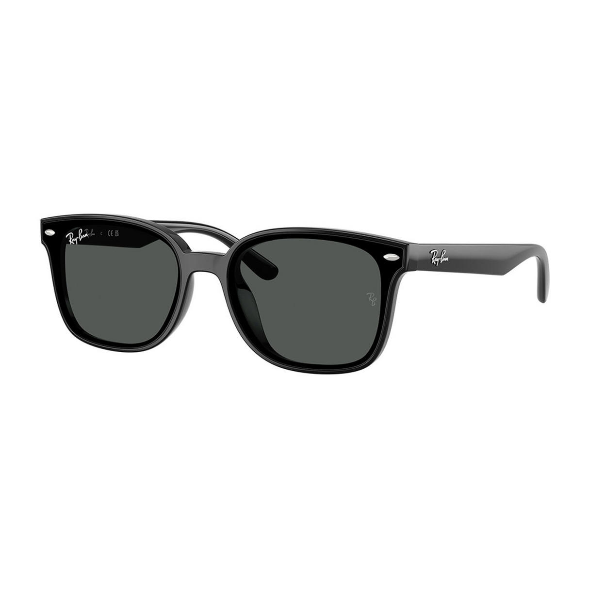 LENTES DE SOL UV400 UNISEX RB4461D 601/87 64 RAY BAN NEGRO CASUAL 1030214
