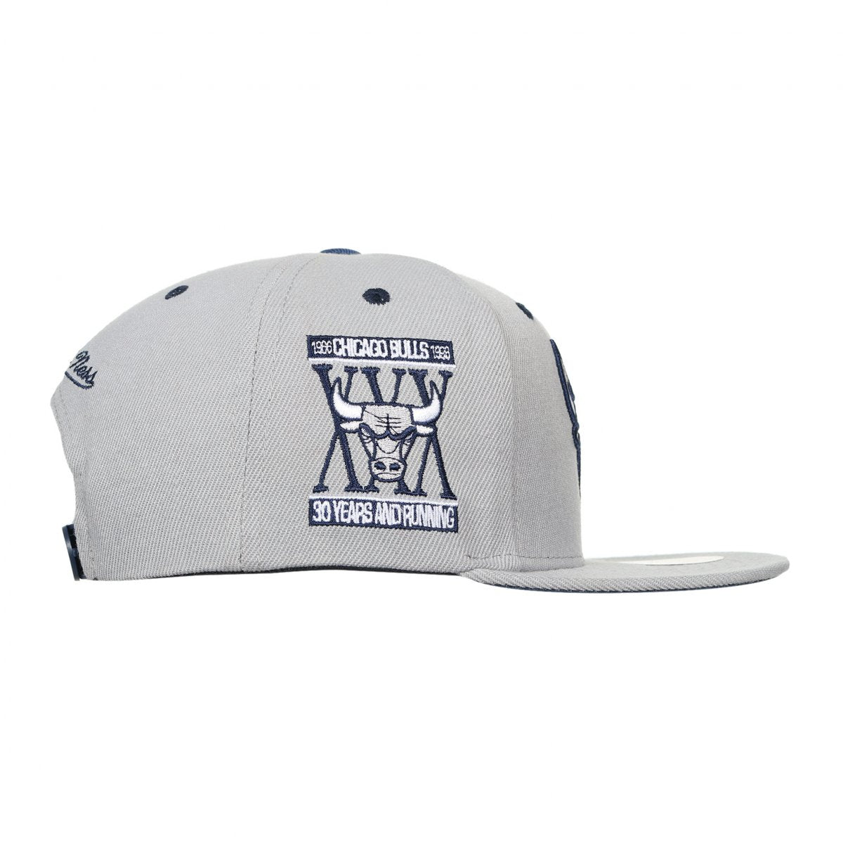 GORRA MITCHELL AND NESS  NBA-CHICAGO BULLS  6HSSSH22009-CBUGREY