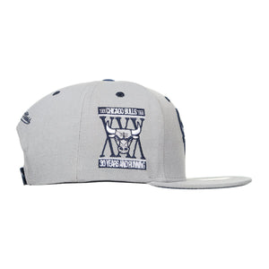 GORRA MITCHELL AND NESS  NBA-CHICAGO BULLS  6HSSSH22009-CBUGREY