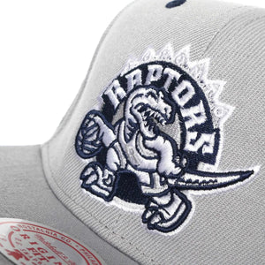 GORRA MITCHELL AND NESS  NBA-TORONTO RAPTORS  6HSSSH22010-TRAGREY MITCHELL AND NESS