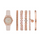 RELOJ ANALOGICO MUJER SR9064 SKECHERS SKECHERS