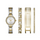 RELOJ ANALOGICO MUJER FMDFL2030 FOLIO FOLIO
