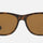LENTES DE SOL POLARIZADO MUJER RB4184 710/83 RAY BAN HAVANA RAY-BAN
