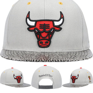GORRA MITCHELL AND NESS  NBA-CHICAGO BULLS  6HSSDX20087-CBUGREY MITCHELL AND NESS