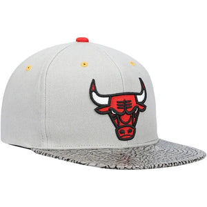 GORRA MITCHELL AND NESS  NBA-CHICAGO BULLS  6HSSDX20087-CBUGREY MITCHELL AND NESS