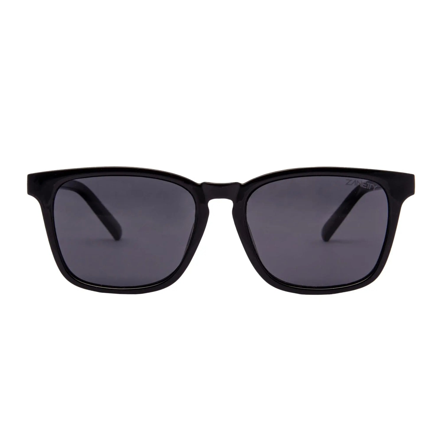 LENTES DE SOL POLARIZADOS HOMBRE P602 ZANETTY ZANETTY