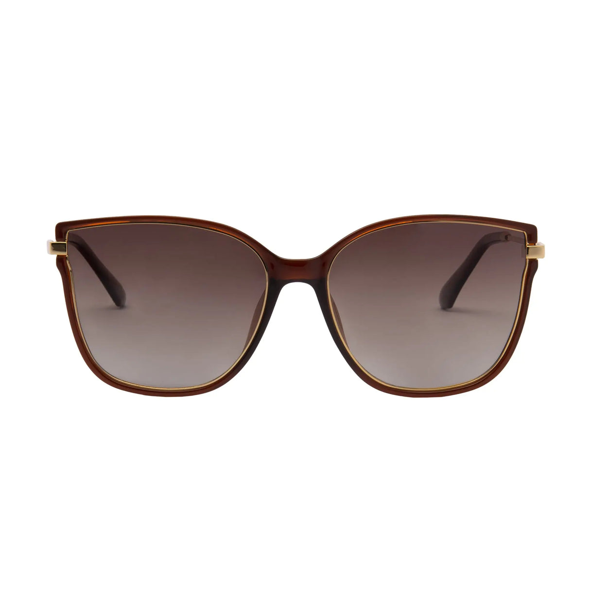 LENTES DE SOL POLARIZADOS MUJER RV7020-3 REVLON REVLON
